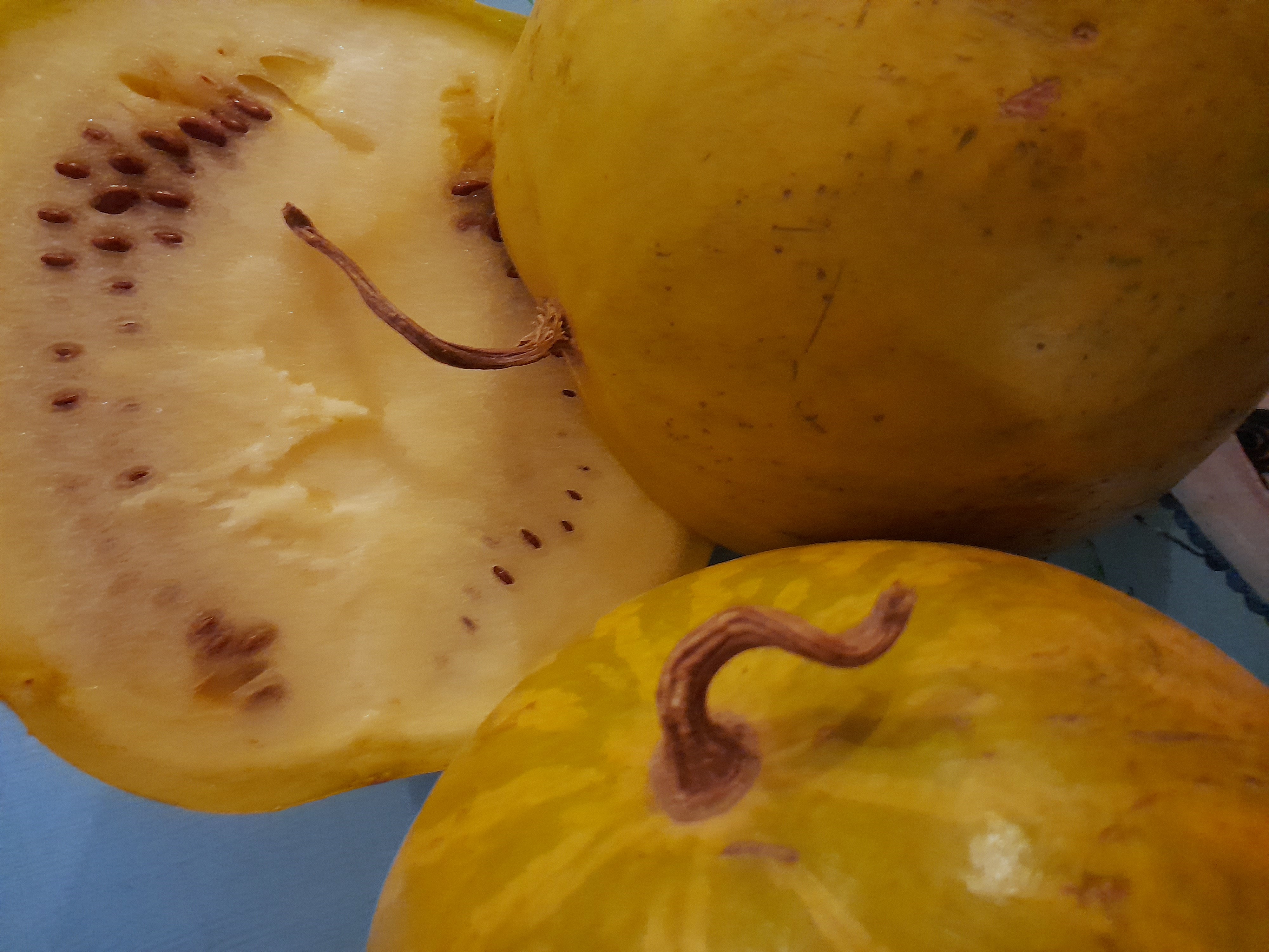 Lerotse is the Sepedi term for Citrullus lanatus, a southern African indigenous gourd with pale yellow, light, mild flesh with tastes that overlap with melon, pumpkin and cucumber.