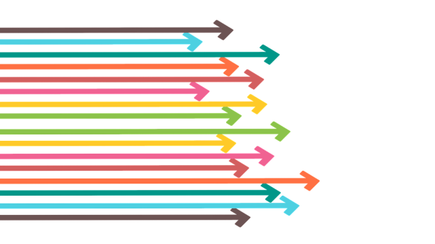 Medscheme asks high court to halt Bonitas tender amid governance probe | Daily Maverick