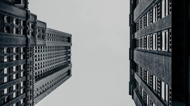 Daily Tender Analytics: Goods Procurement Activity on February 19, 2026 – News and Statistics – IndexBox